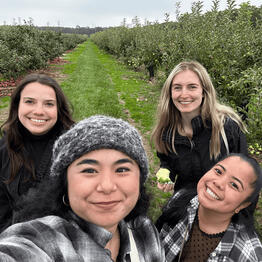 Apple Picking