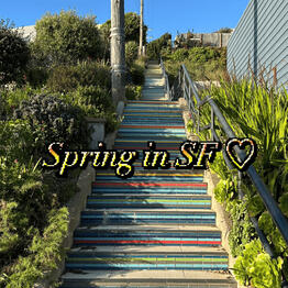 Spring in SF